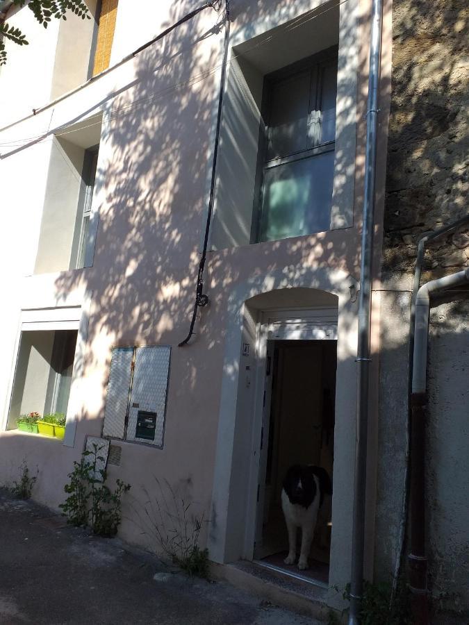 La Maison D Annick Lodève Exterior foto